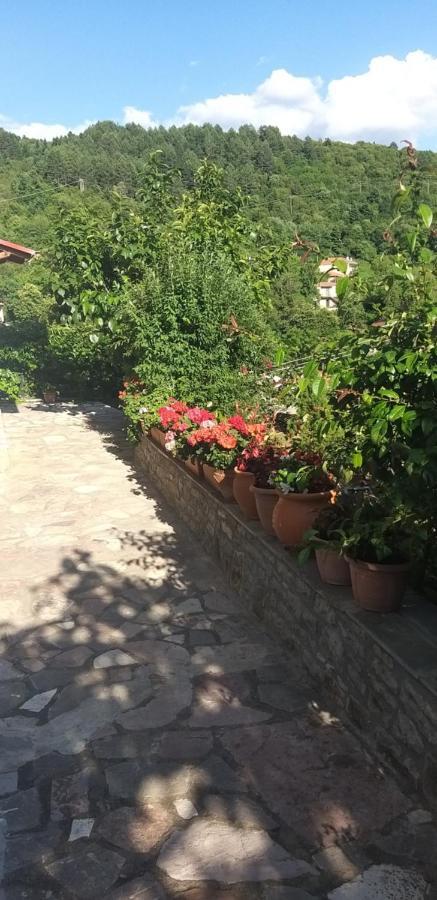 Apartament Το Σπίτι Της Ευτυχίας Σουίτα Karpenísion Zewnętrze zdjęcie